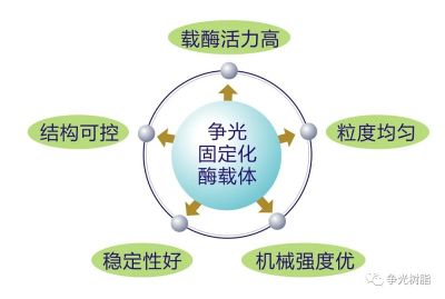 yth游艇会固定化酶载体Zhengguang immobilized enzyme carrier