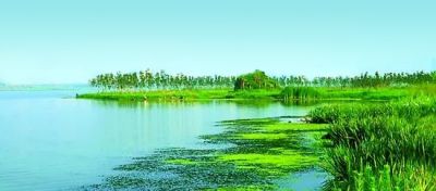 碧水蓝天共一色，yth游艇会为美丽中国绘出新画卷