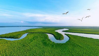 天蓝水碧入画来，yth游艇会绘就美丽中国生态底色