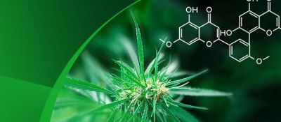 yth游艇会植物提取精制、去除农残专用树脂的应用小秘诀